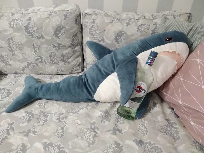 Drunk Sharkk zzzzzzz